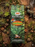 Rain Forest Incense Sticks